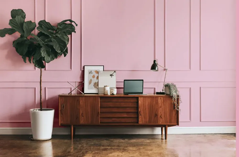 Sherwin Williams Desire Pink modern interior