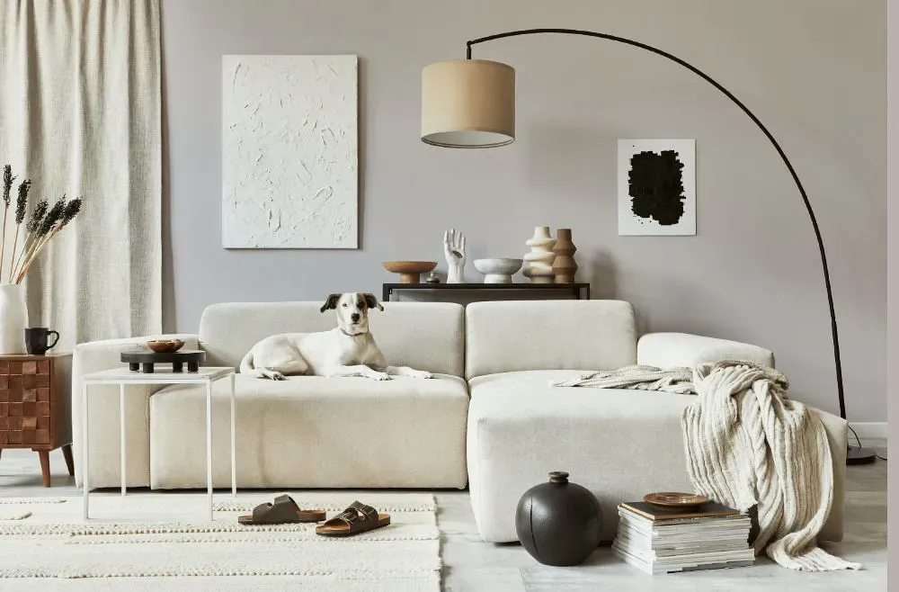Sherwin Williams Destiny cozy living room