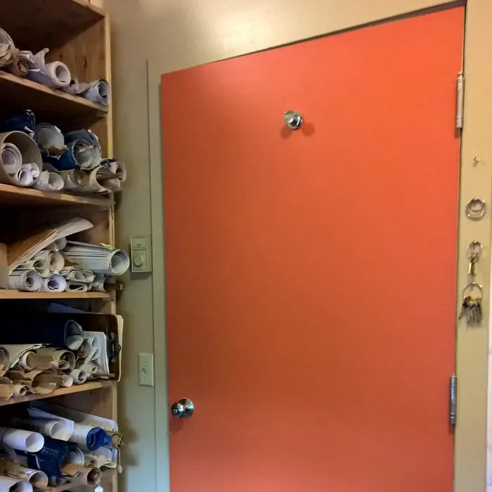 Sw Determined Orange Door