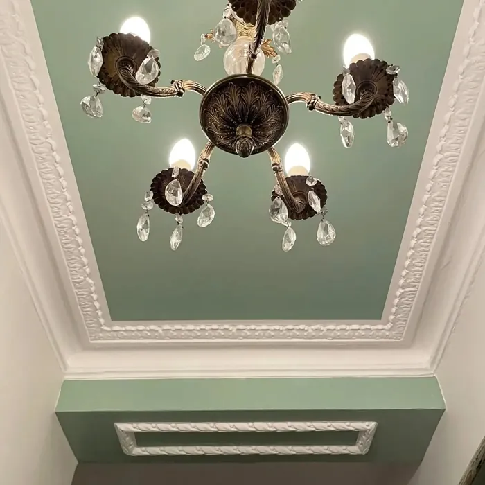 Dulux Dewy Lawn ceiling color