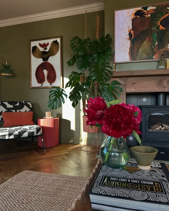 Farrow and Ball Dibber living room paint review