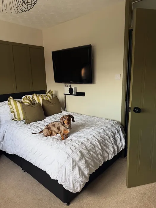 Farrow and Ball Dibber bedroom panelling paint review