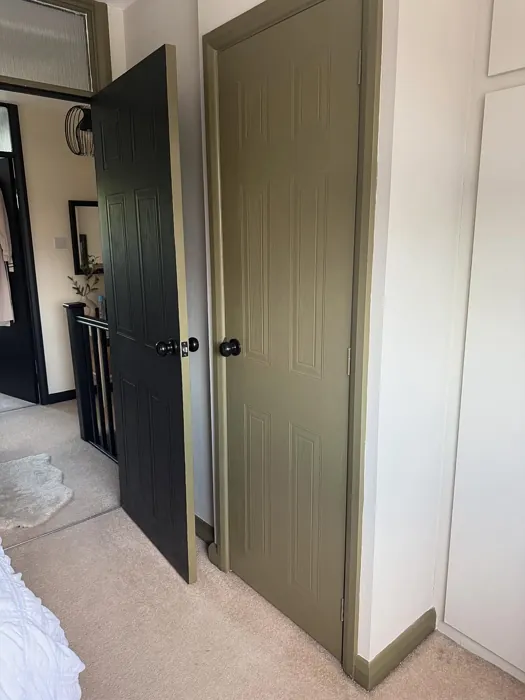 Farrow and Ball Dibber door color