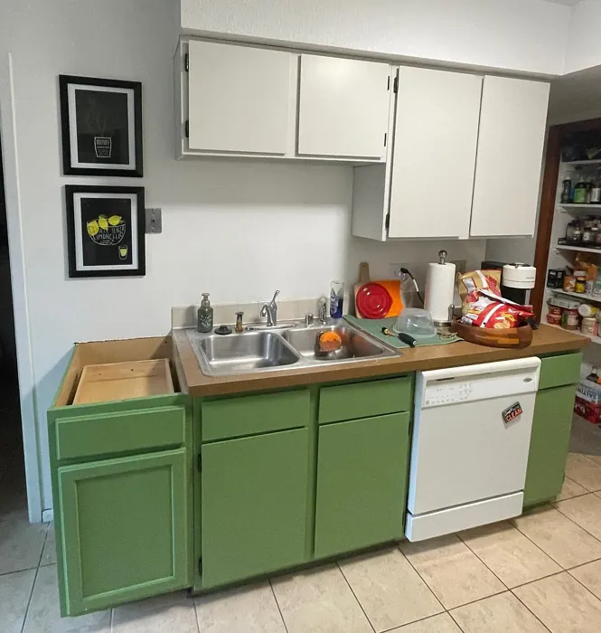 SW Dill kitchen cabinets color