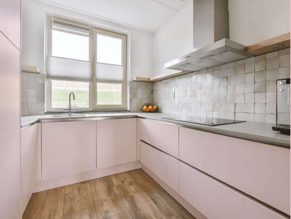 Sherwin Williams Diminutive Pink small kitchen cabinets
