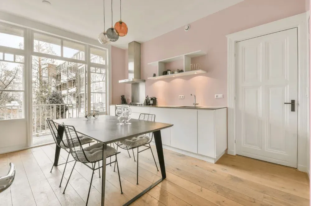 Sherwin Williams Diminutive Pink kitchen review