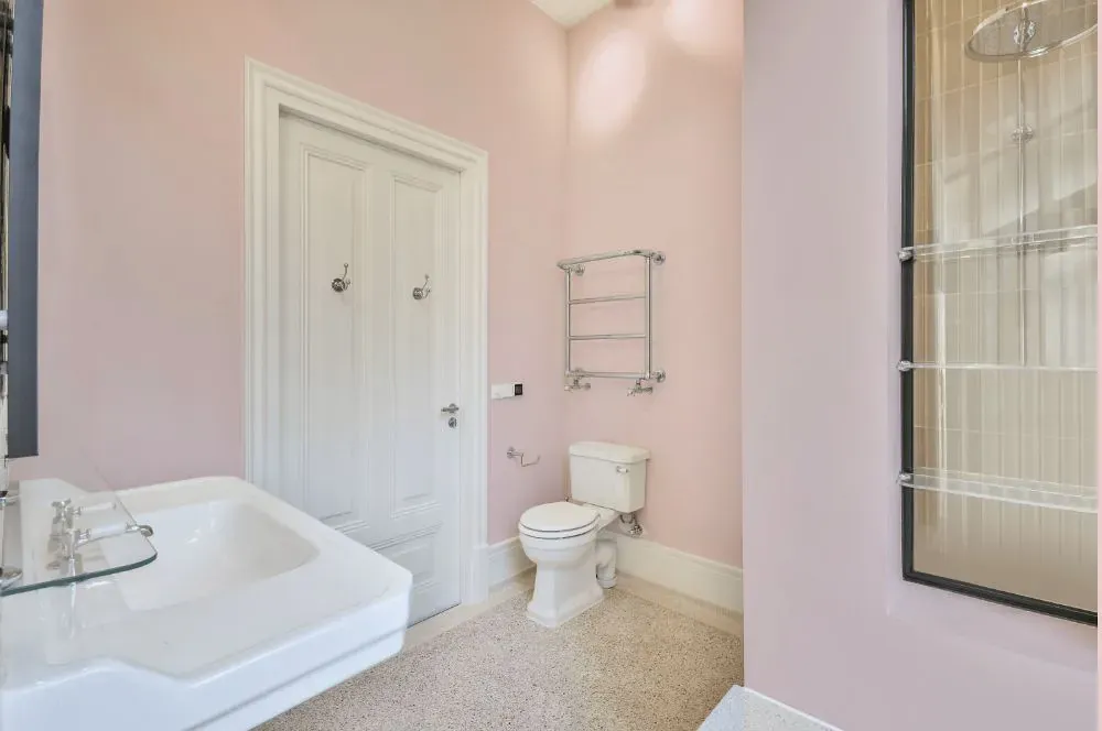Sherwin Williams Diminutive Pink bathroom