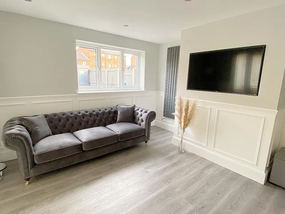 Farrow and Ball Dimpse living room review