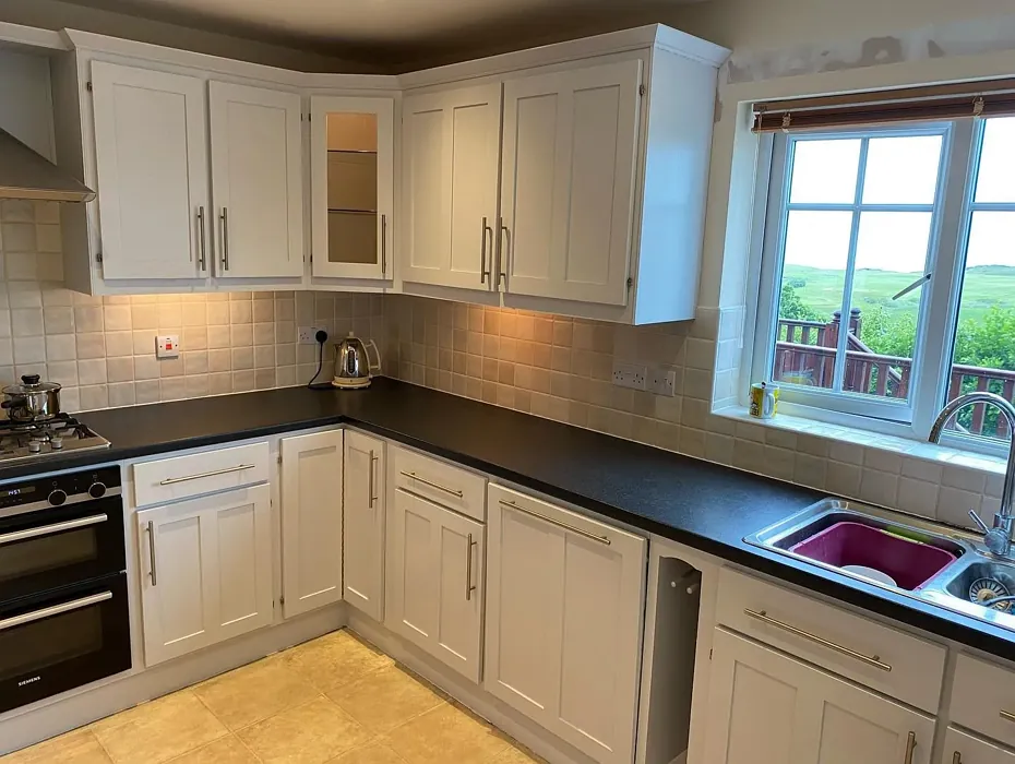 Farrow and Ball Dimpse kitchen cabinets color