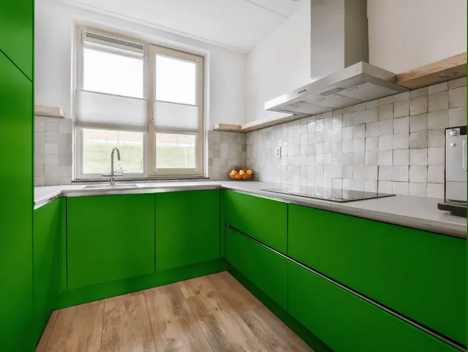 Sherwin Williams Direct Green small kitchen cabinets