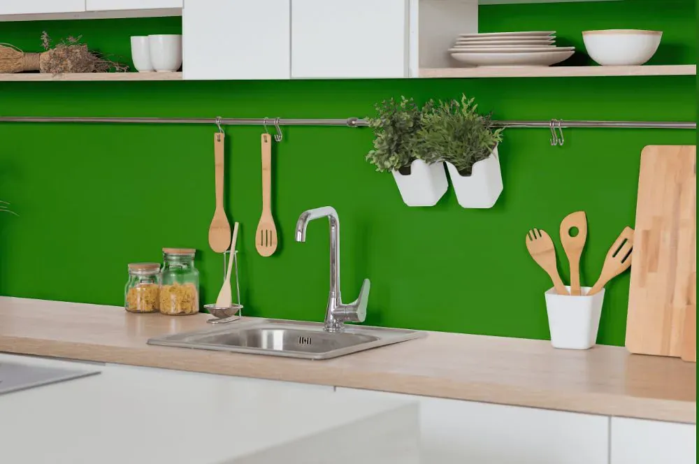 Sherwin Williams Direct Green kitchen backsplash