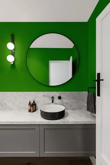 Sherwin Williams Direct Green minimalist bathroom
