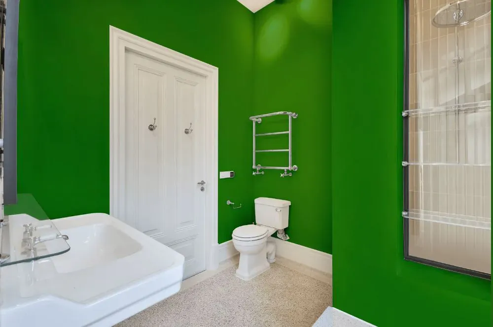 Sherwin Williams Direct Green bathroom