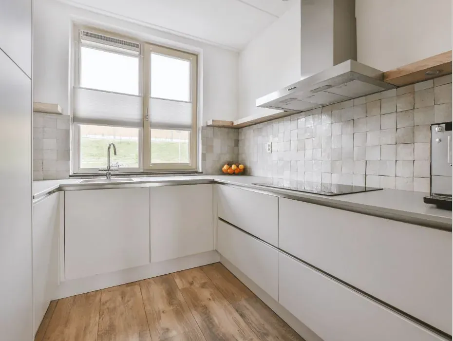 Sherwin Williams Discreet White small kitchen cabinets