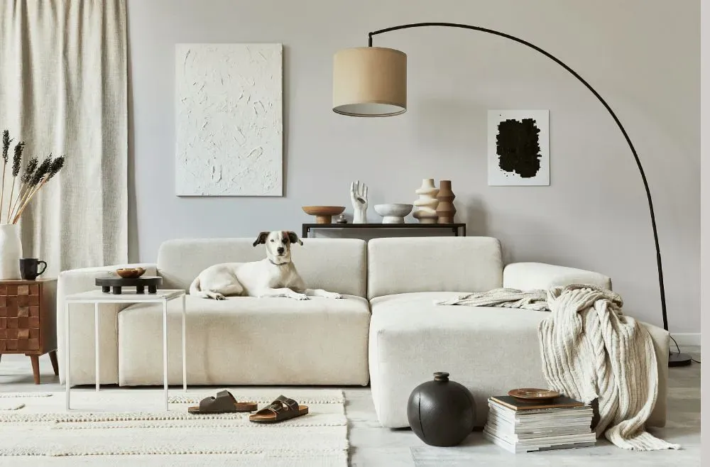 Sherwin Williams Discreet White cozy living room
