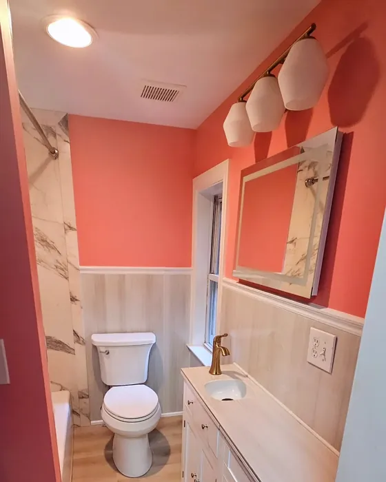 Sherwin Williams Dishy Coral bathroom color