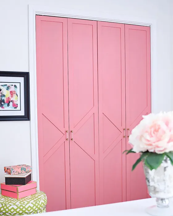 SW Dishy Coral painted furniture review