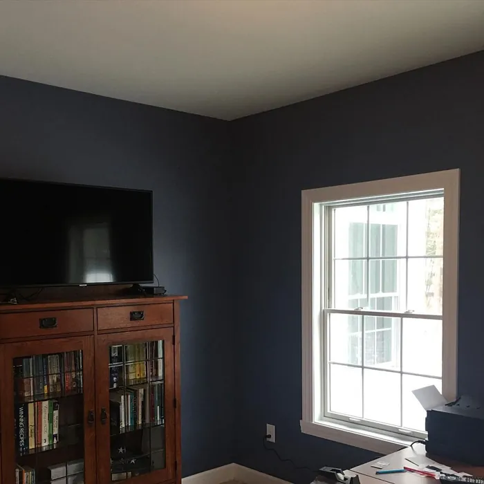 Sherwin Williams Distance Living Room