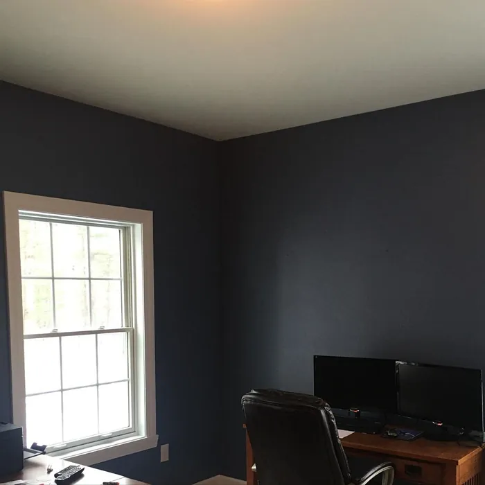Sherwin Williams Distance Living Room