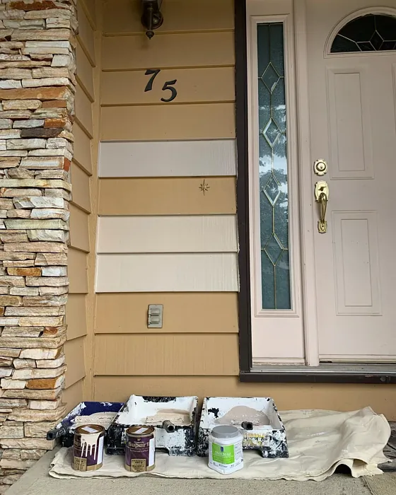 SW Diverse Beige front door color SW Diverse Beige front door color