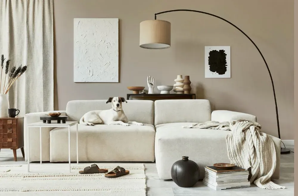 Sherwin Williams Diverse Beige cozy living room