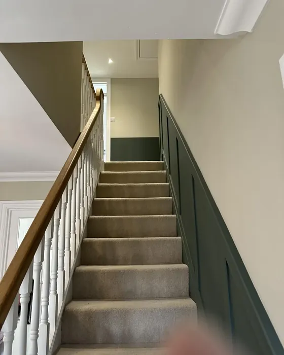 Farrow and Ball Douter wall panelling color