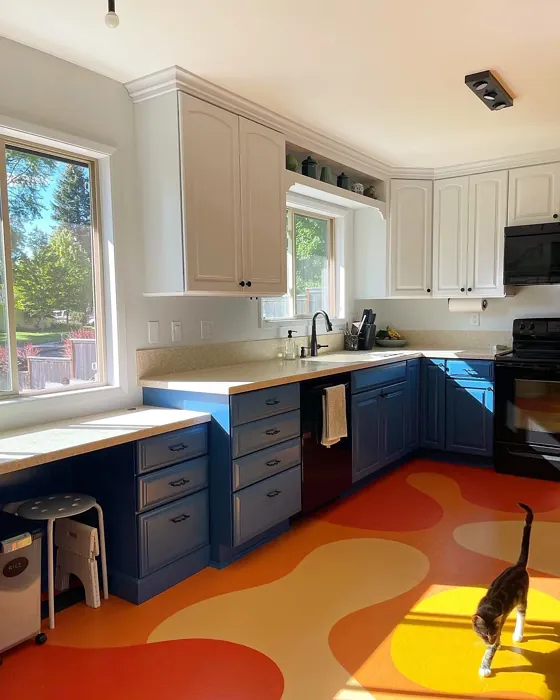 SW Down Pour kitchen cabinets review