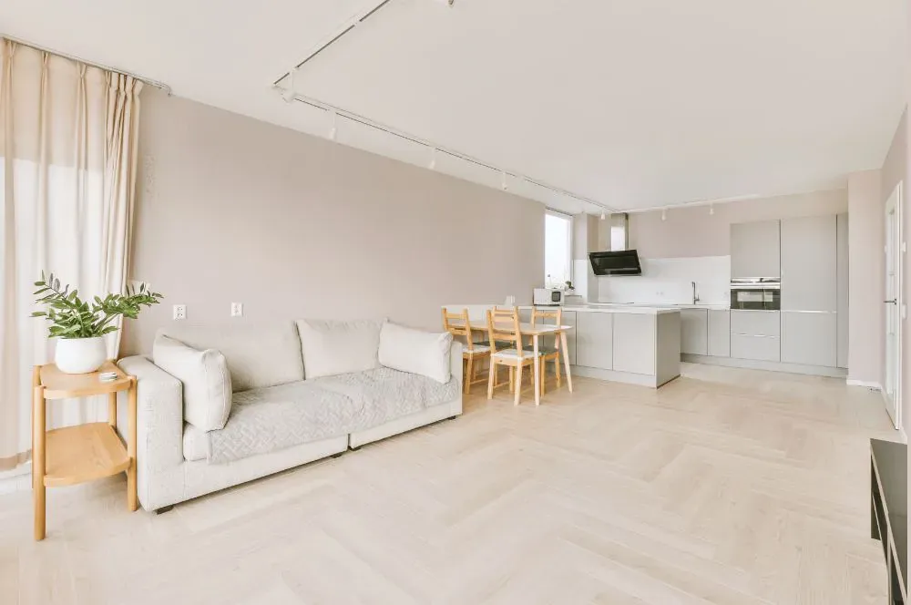 Sherwin Williams Dreamy White living room interior