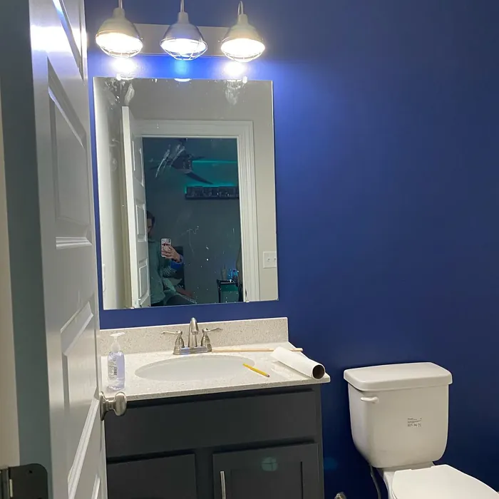 Sherwin Williams Dress Blues bathroom color