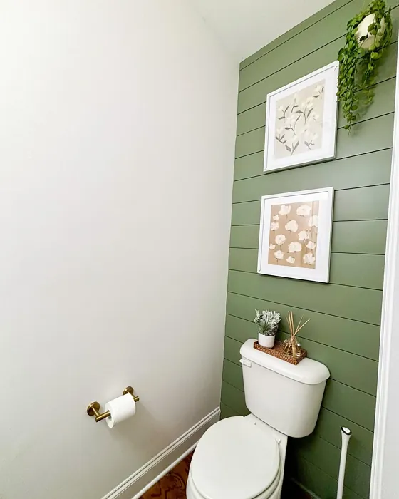 Dried Thyme bathroom color review