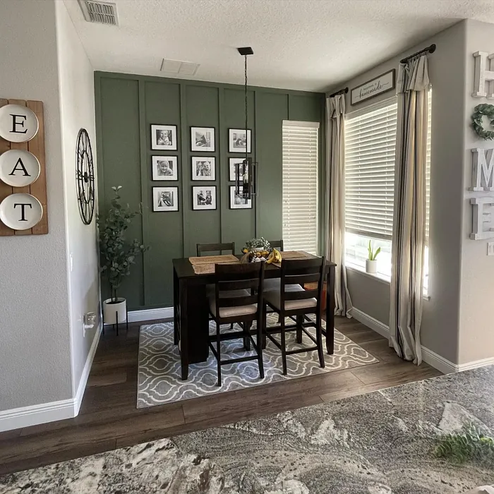 SW Dried Thyme dining room color
