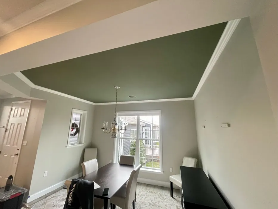 Sherwin Williams Dried Thyme ceiling paint