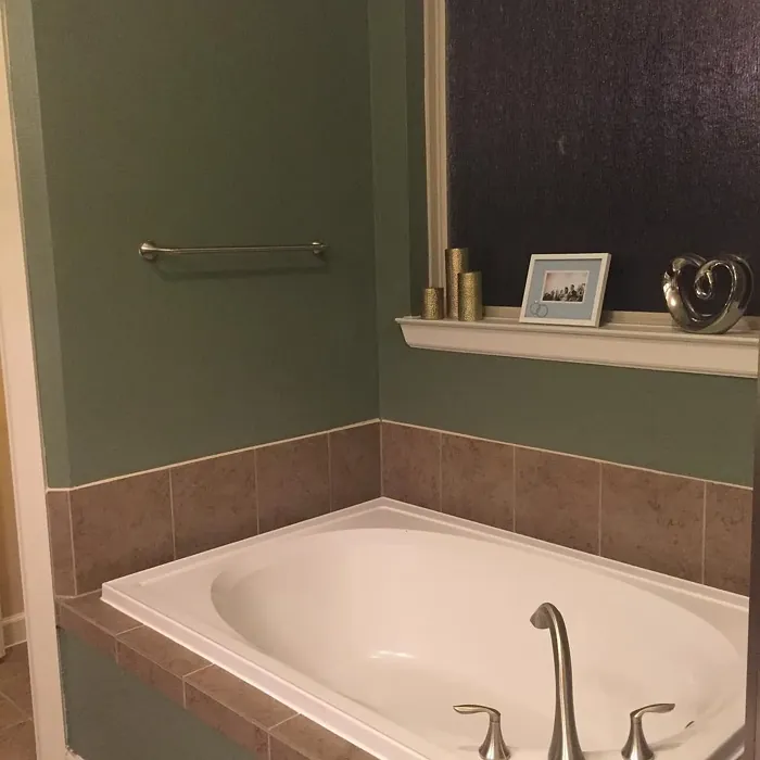 SW Dried Thyme bathroom color