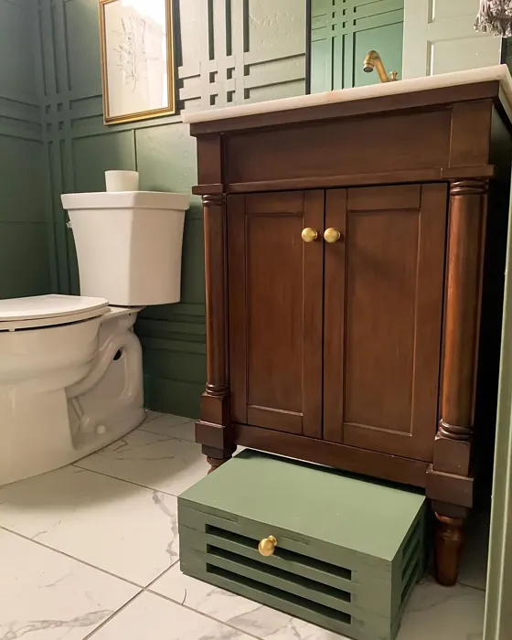 Sherwin Williams Dried Thyme cozy bathroom color