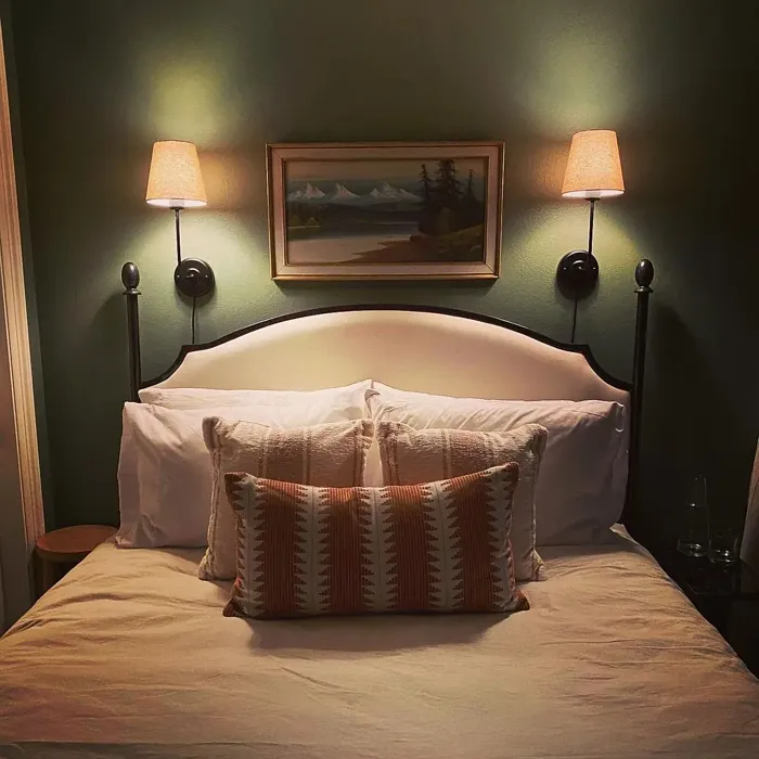 Sherwin Williams Dried Thyme cozy bedroom paint