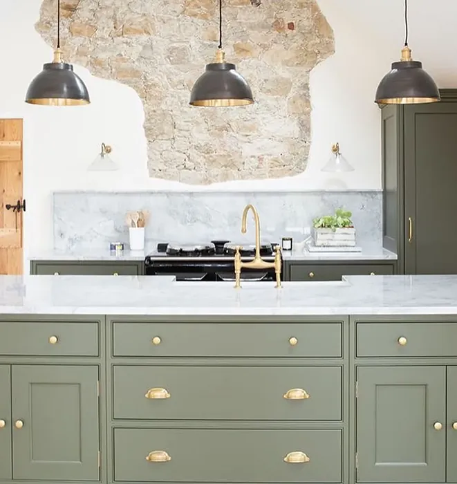 Dried Thyme kitchen cabinets color