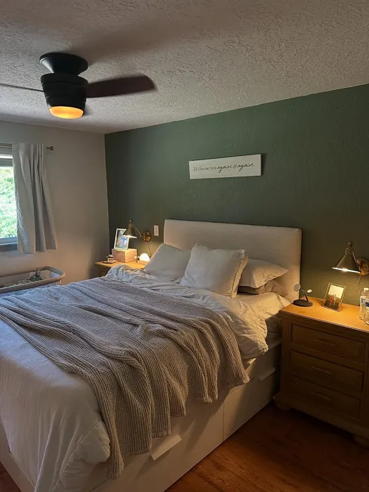 SW Dried Thyme bedroom accent wall 