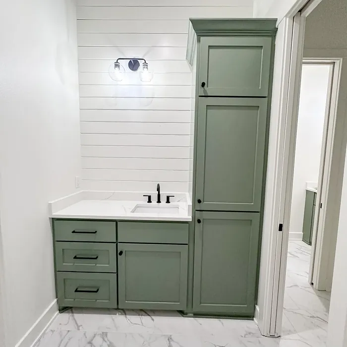 SW Dried Thyme bathroom vanity color