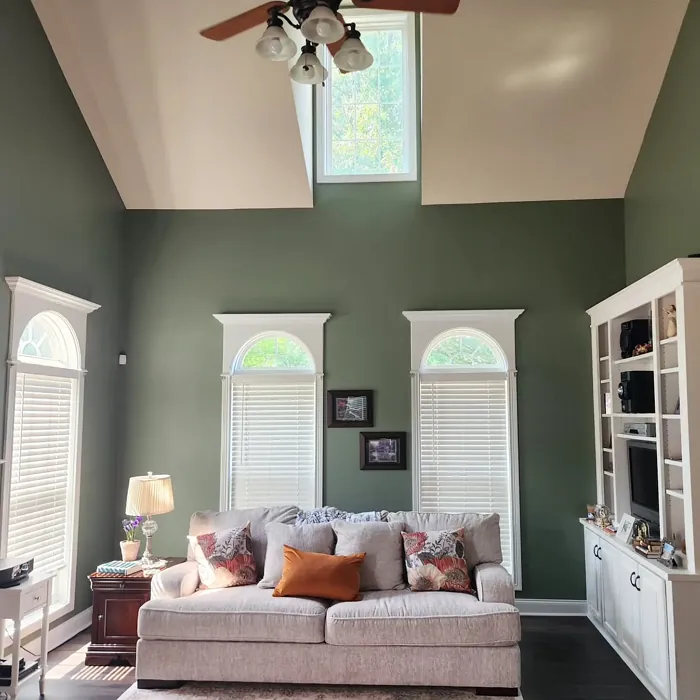 SW 6186 living room interior