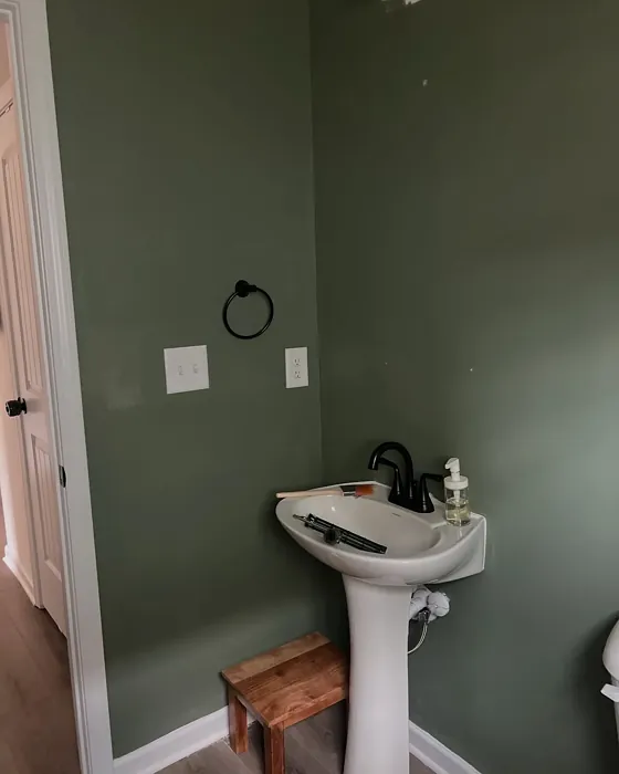 SW 6186 bathroom color review