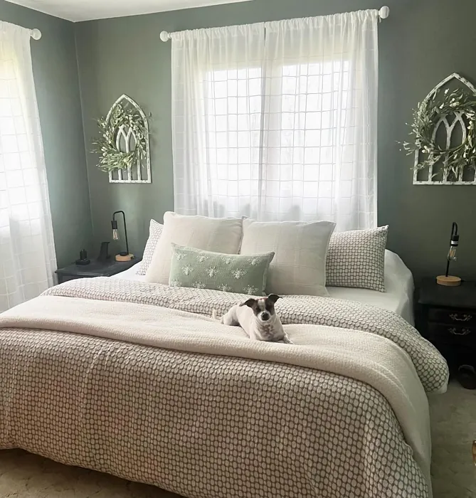 Sherwin Williams Dried Thyme bedroom color review