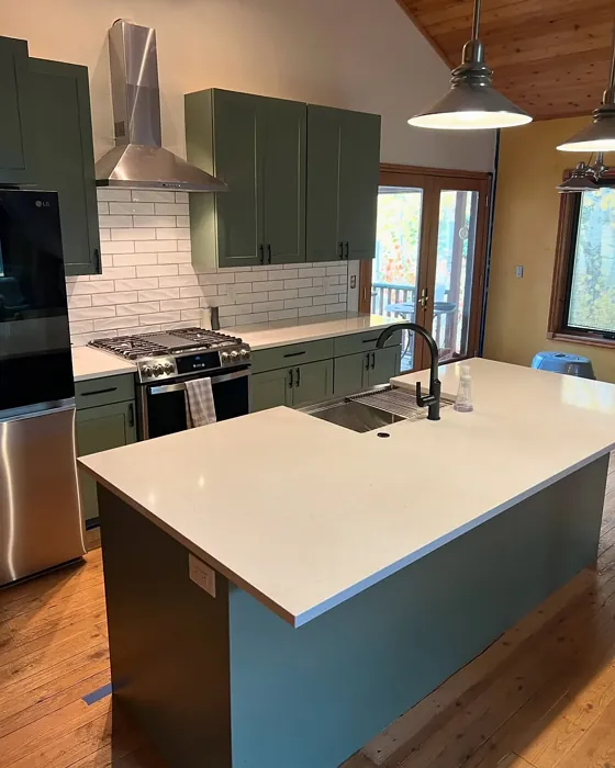 Dried Thyme kitchen cabinets review