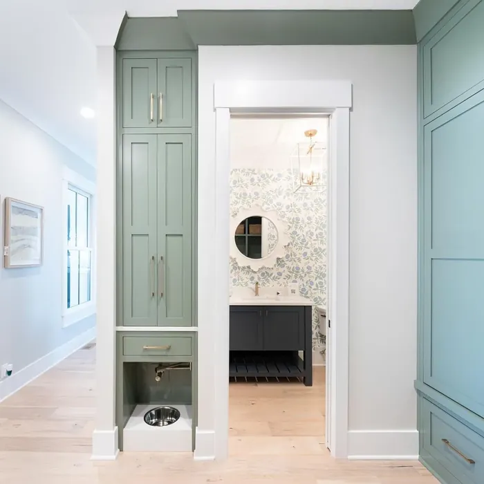 Sherwin Williams Dried Thyme bathroom paint review