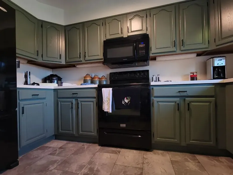 Sherwin Williams Dried Thyme kitchen cabinets paint review