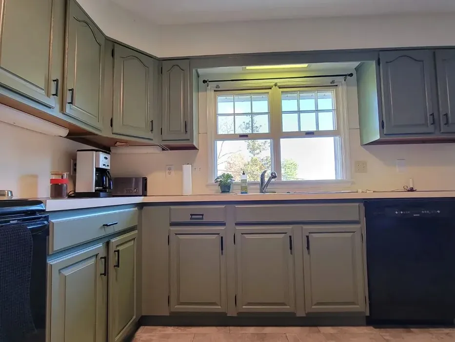 Sherwin Williams SW 6186 kitchen cabinets color