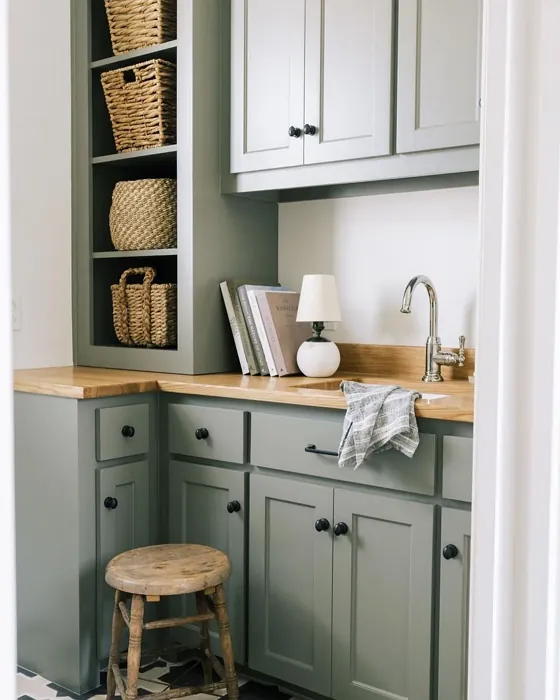 Sherwin Williams Dried Thyme cozy kitchen cabinets color