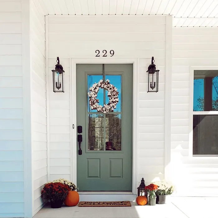 Sherwin Williams Dried Thyme Front Door