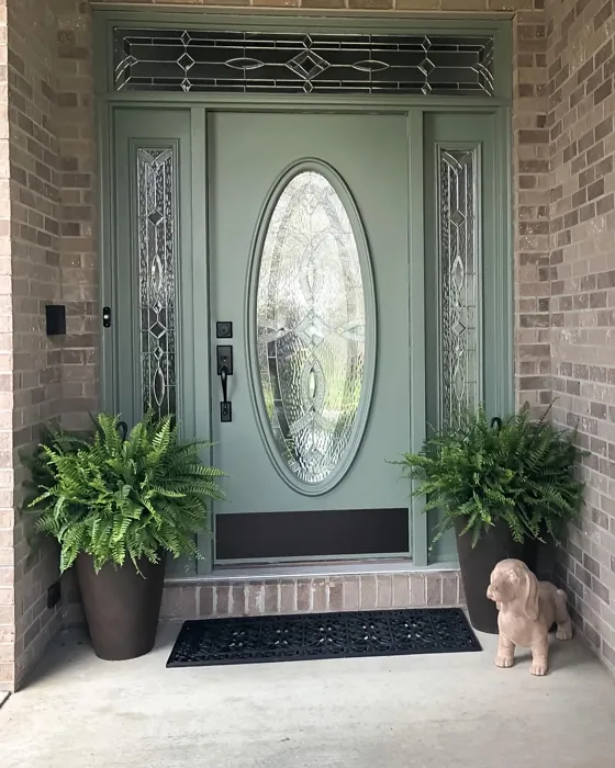 Dried Thyme front door color