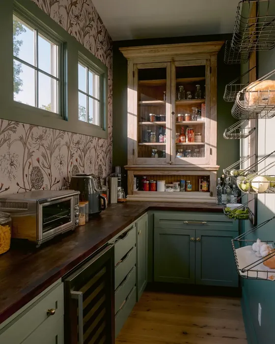 SW Dried Thyme kitchen cabinets paint review