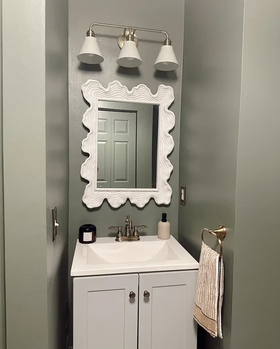 Sherwin Williams Dried Thyme bathroom interior